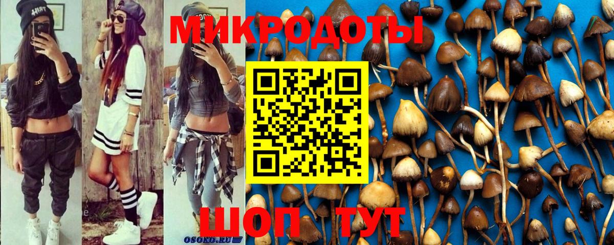 Михайловка  Галлюциногенные грибы MAGIC MUSHROOMS  Вход с VPN 
